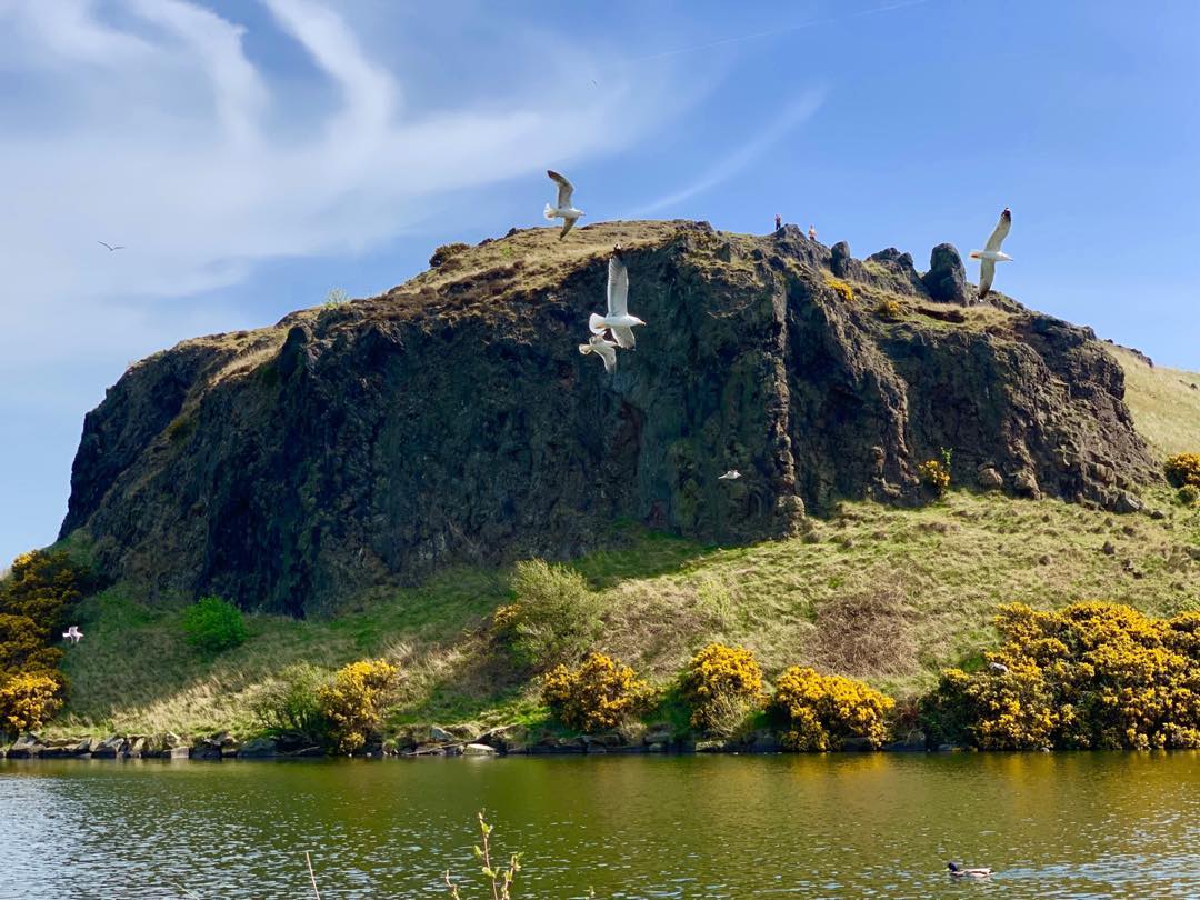 Wings Around the Hill
