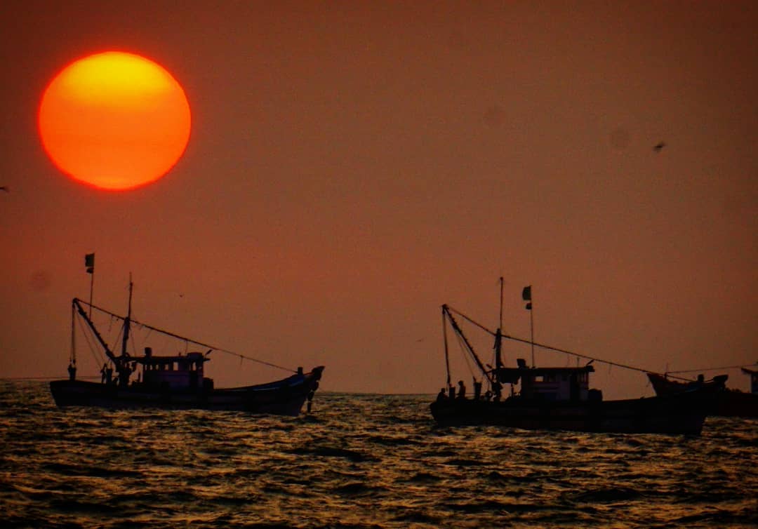 The Sun Waits for the Boats