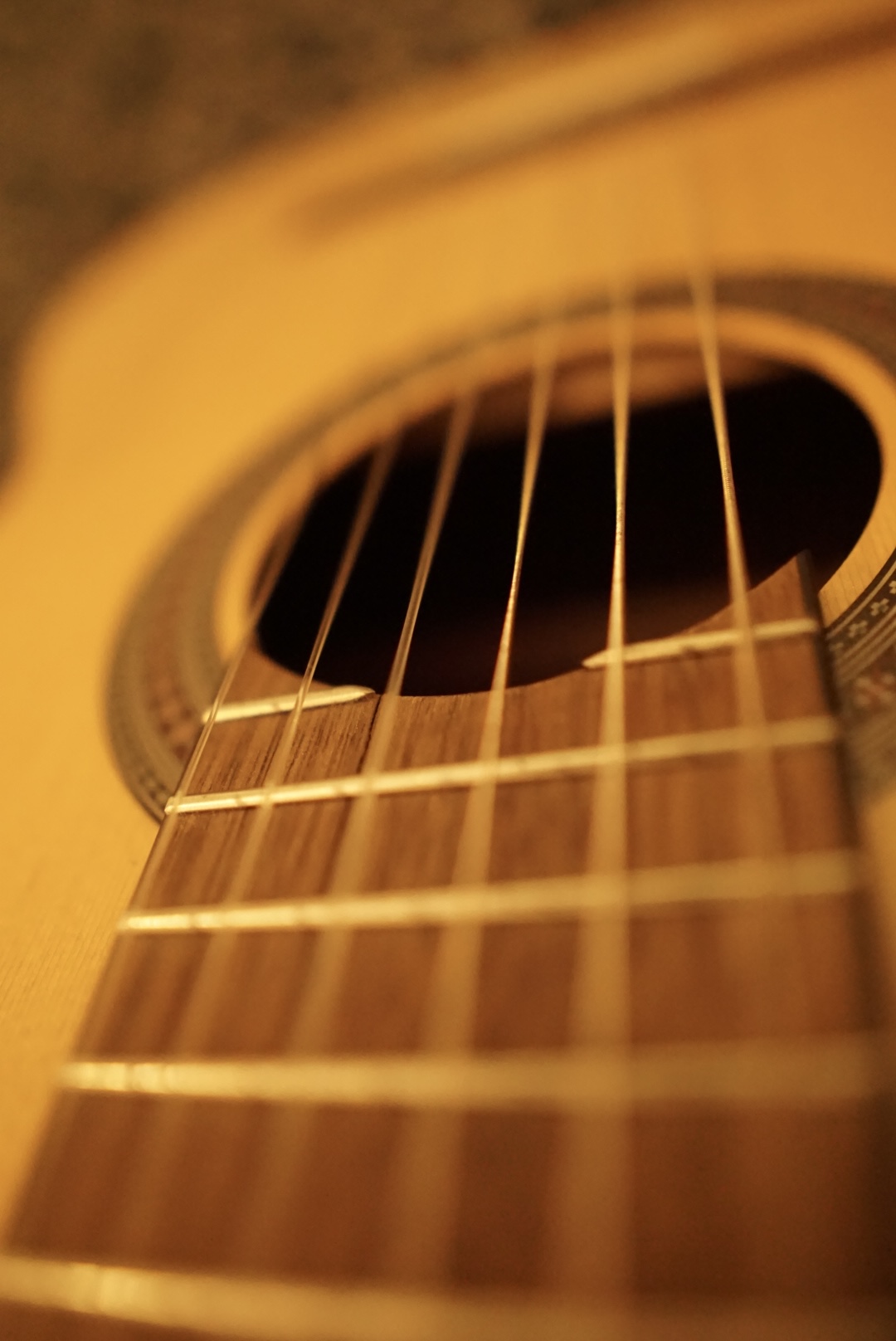Where Silence Waits for a Song
