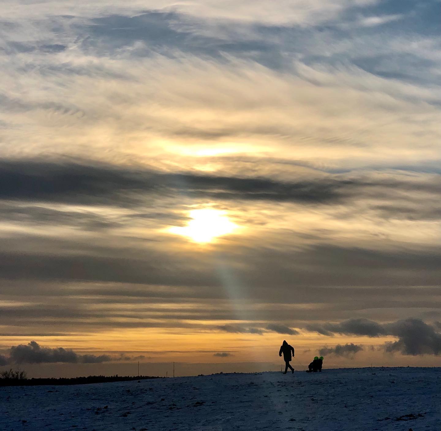Winter Beneath a Pale Sun