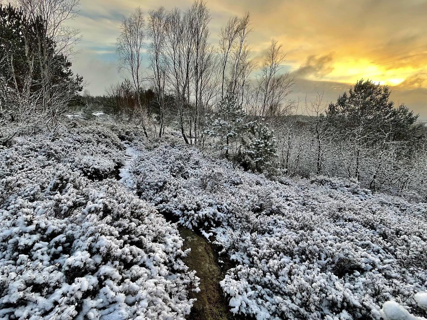 Winter's Path toward the Sun