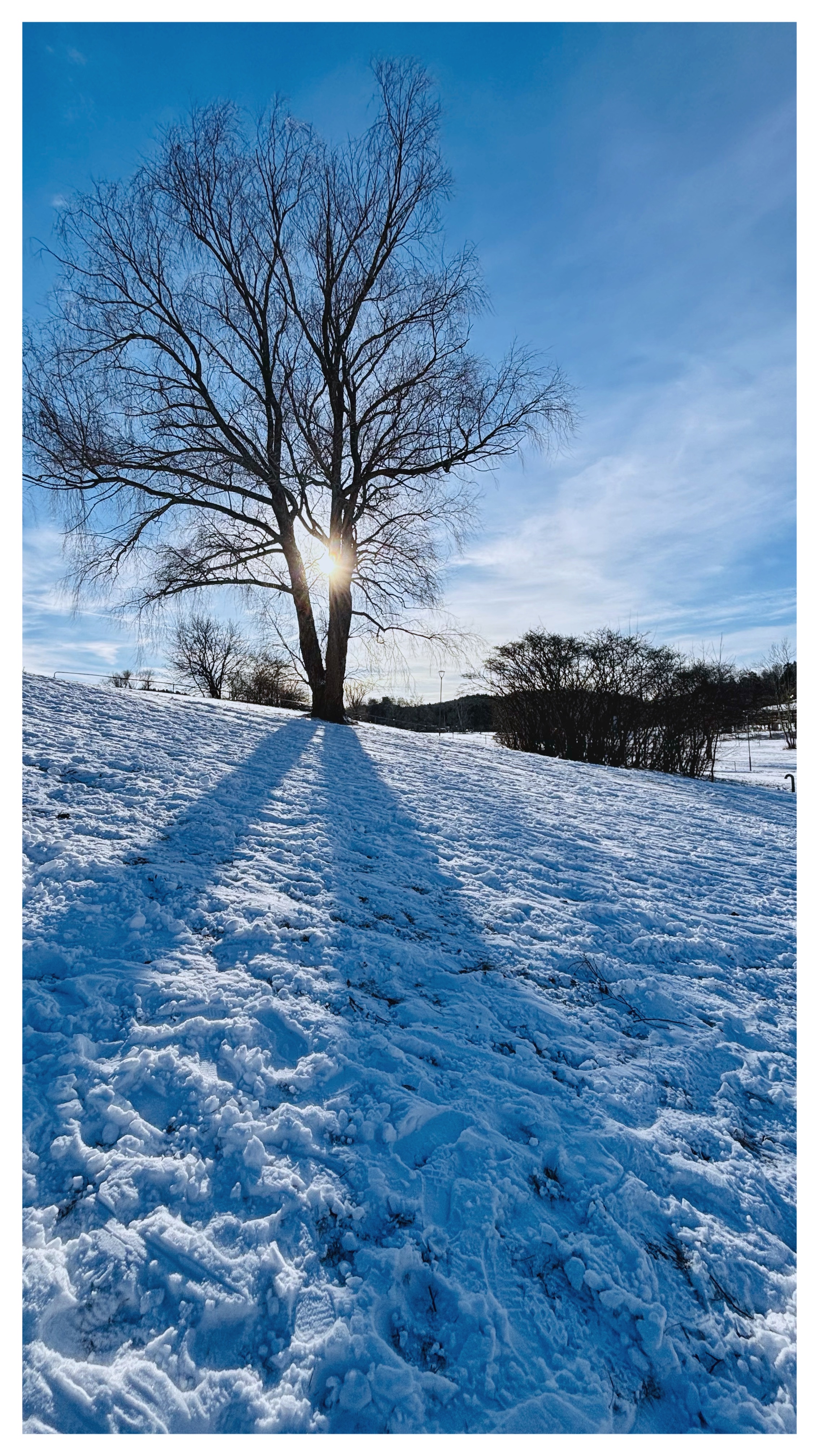Winter's Long Blue Shadow