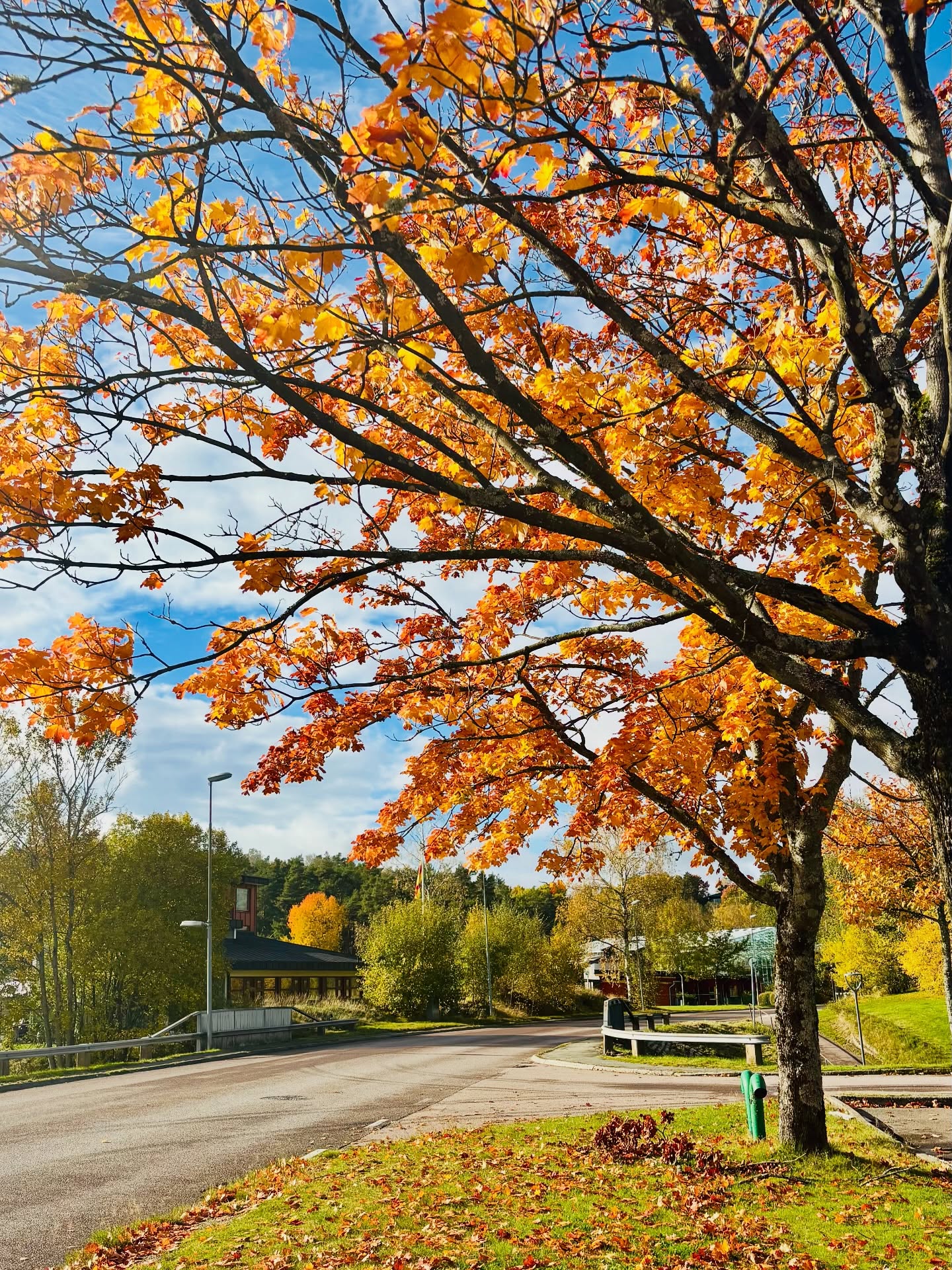 Autumn at the Bend in the Road